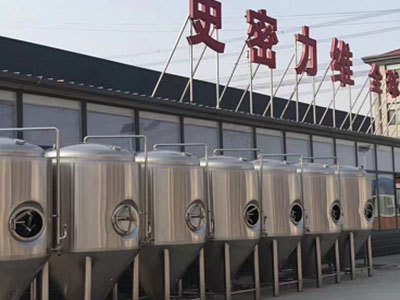 崖城镇精酿啤酒设备厂—如何判断精酿啤酒设备的密封件需要更换？